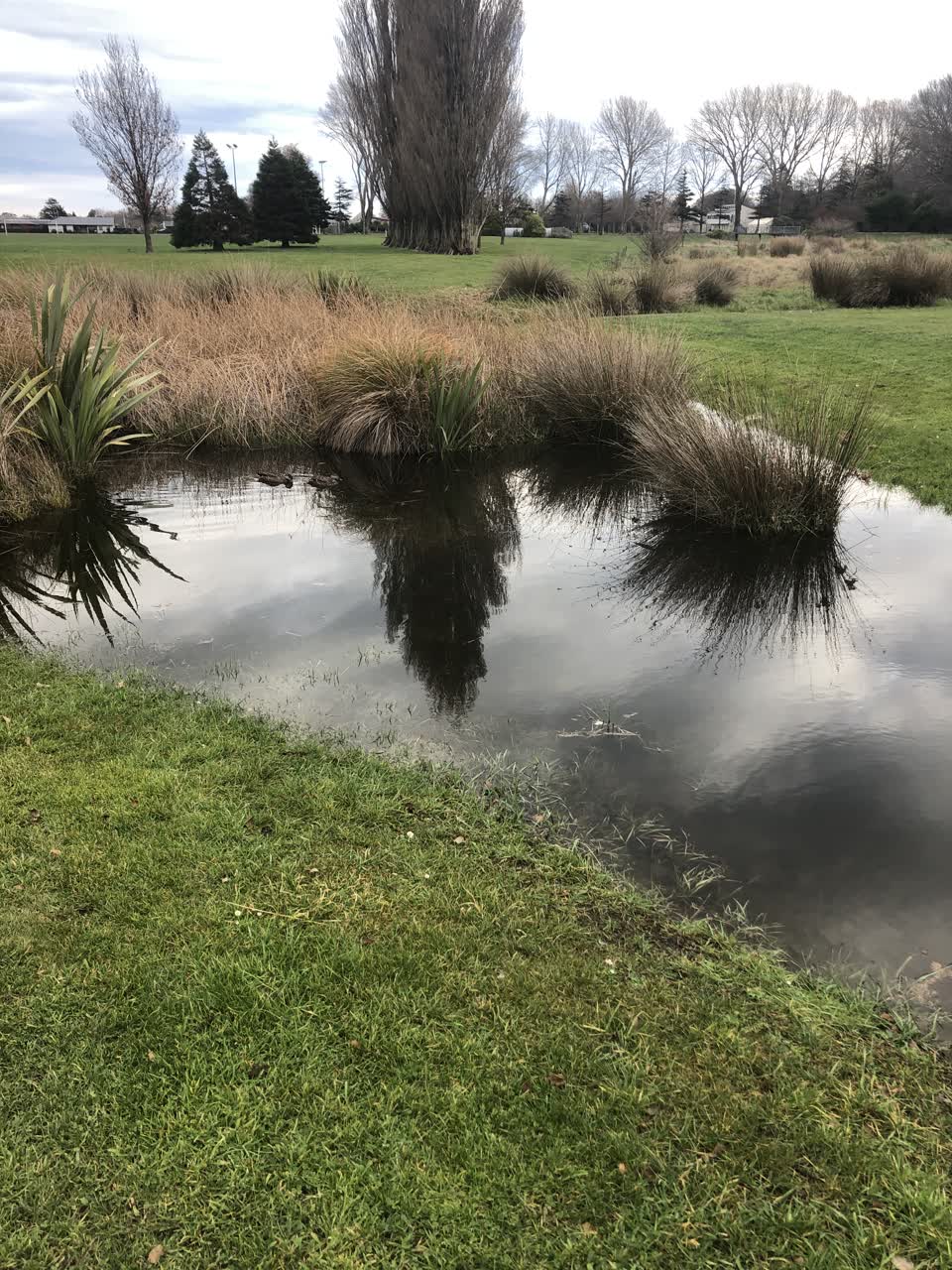 The photograph attached to this parks report