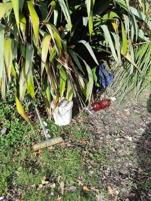 Rubbish/Recycling, a report photo