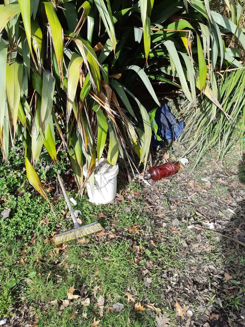 The photograph attached to this rubbish/recycling report