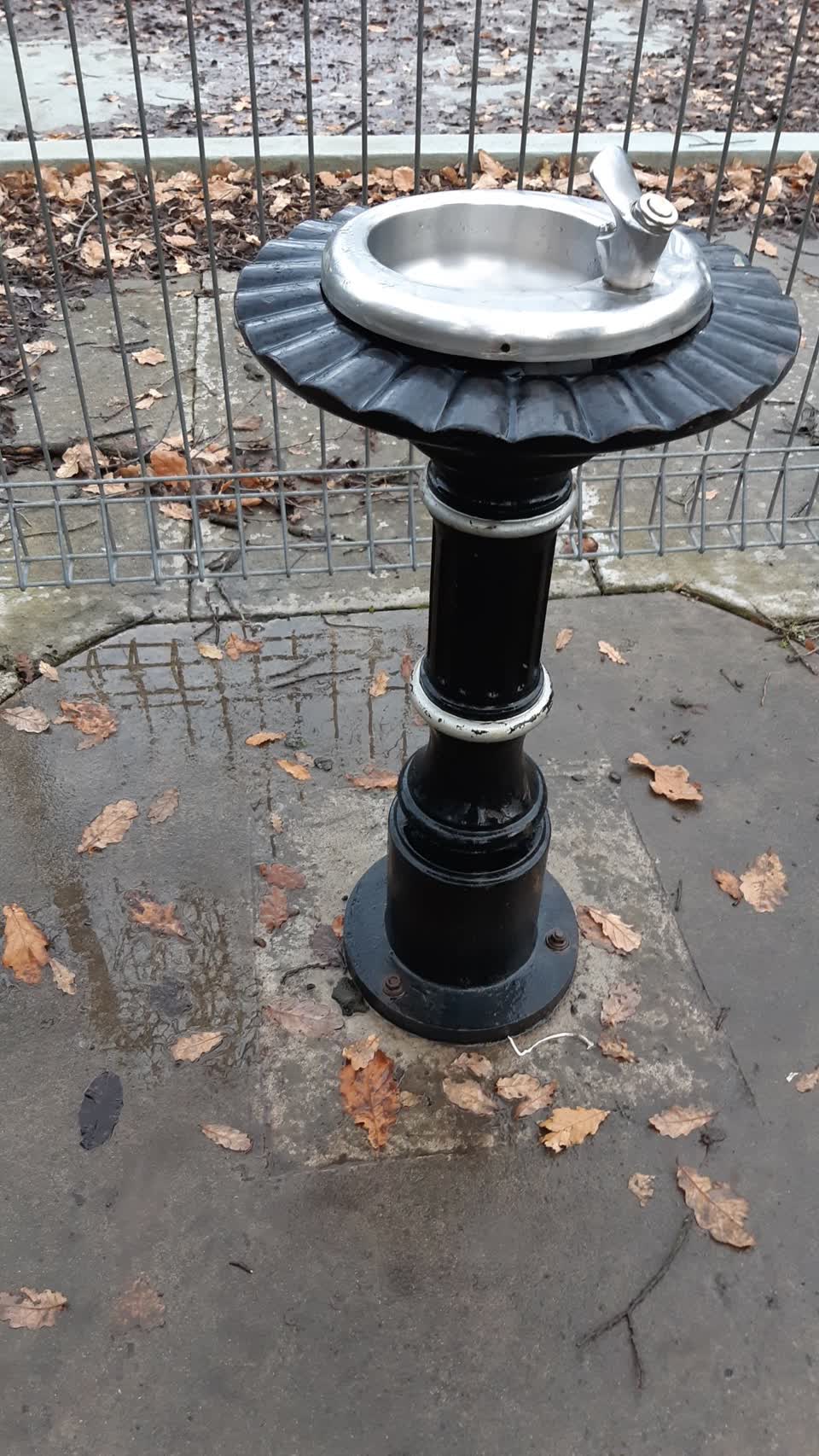 The photograph attached to this parks report