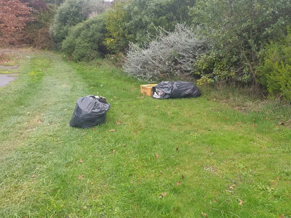 The photograph attached to this rubbish/recycling report