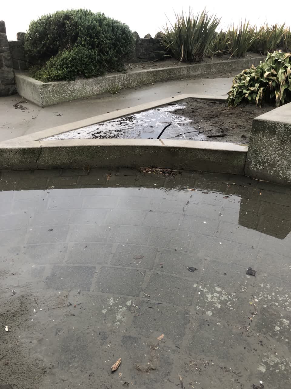 The photograph attached to this water leak report
