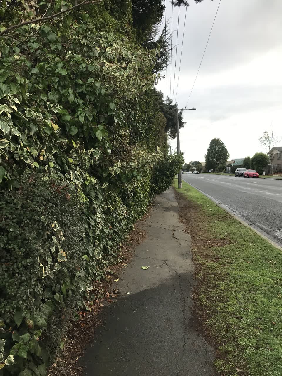 The photograph attached to this roading/streets report