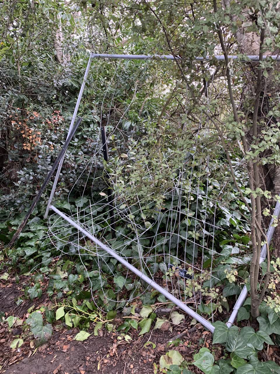 The photograph attached to this parks report