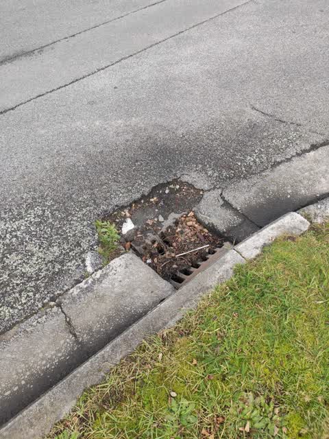 Roading/Streets, a report photo