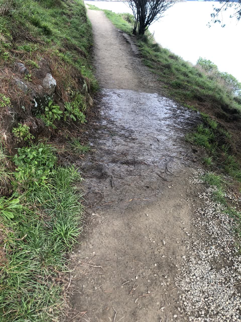 The photograph attached to this water leak report