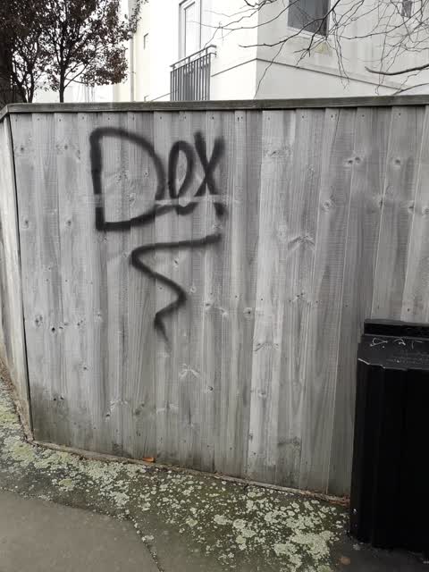 Graffiti, a report photo