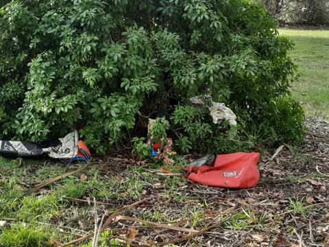 Rubbish/Recycling, a report photo