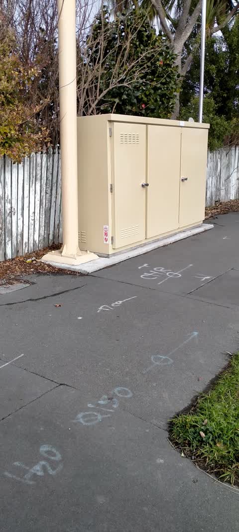 General Request, a report photo