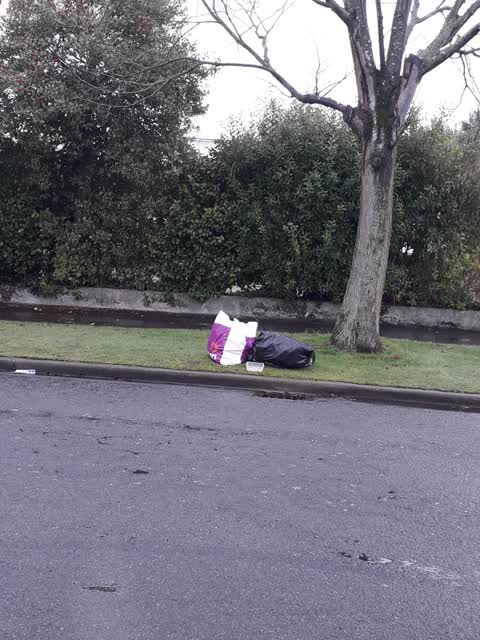 Rubbish/Recycling, a report photo