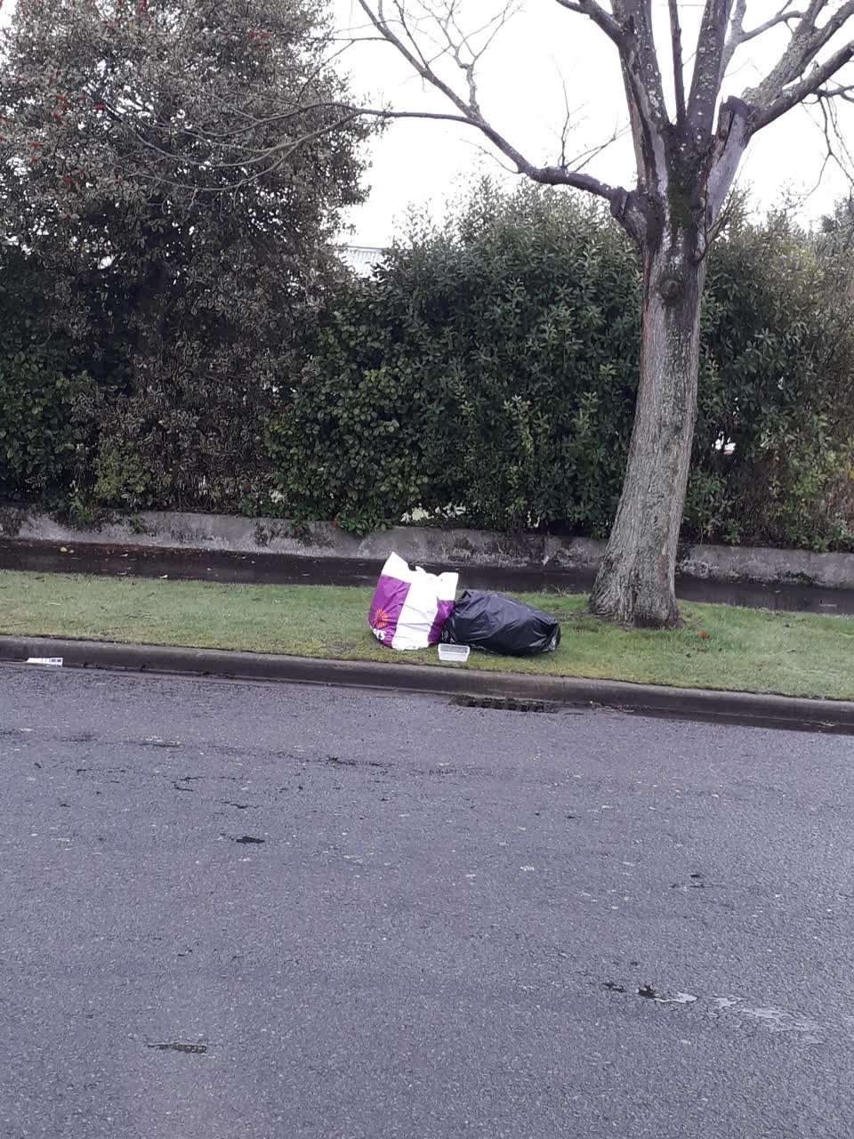The photograph attached to this rubbish/recycling report
