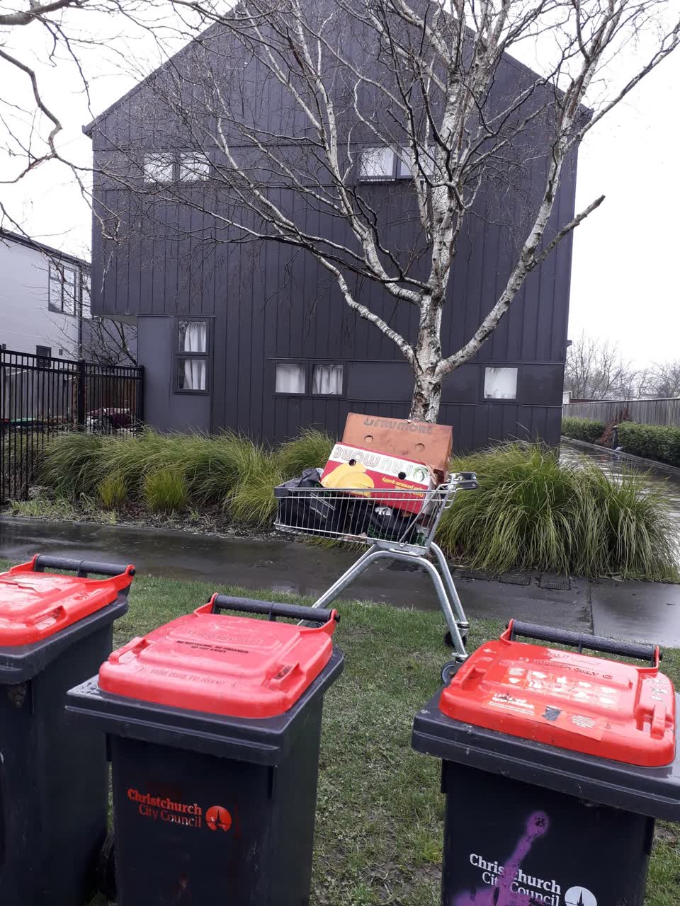 The photograph attached to this rubbish/recycling report