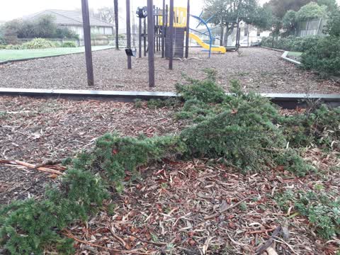 Parks, a report photo