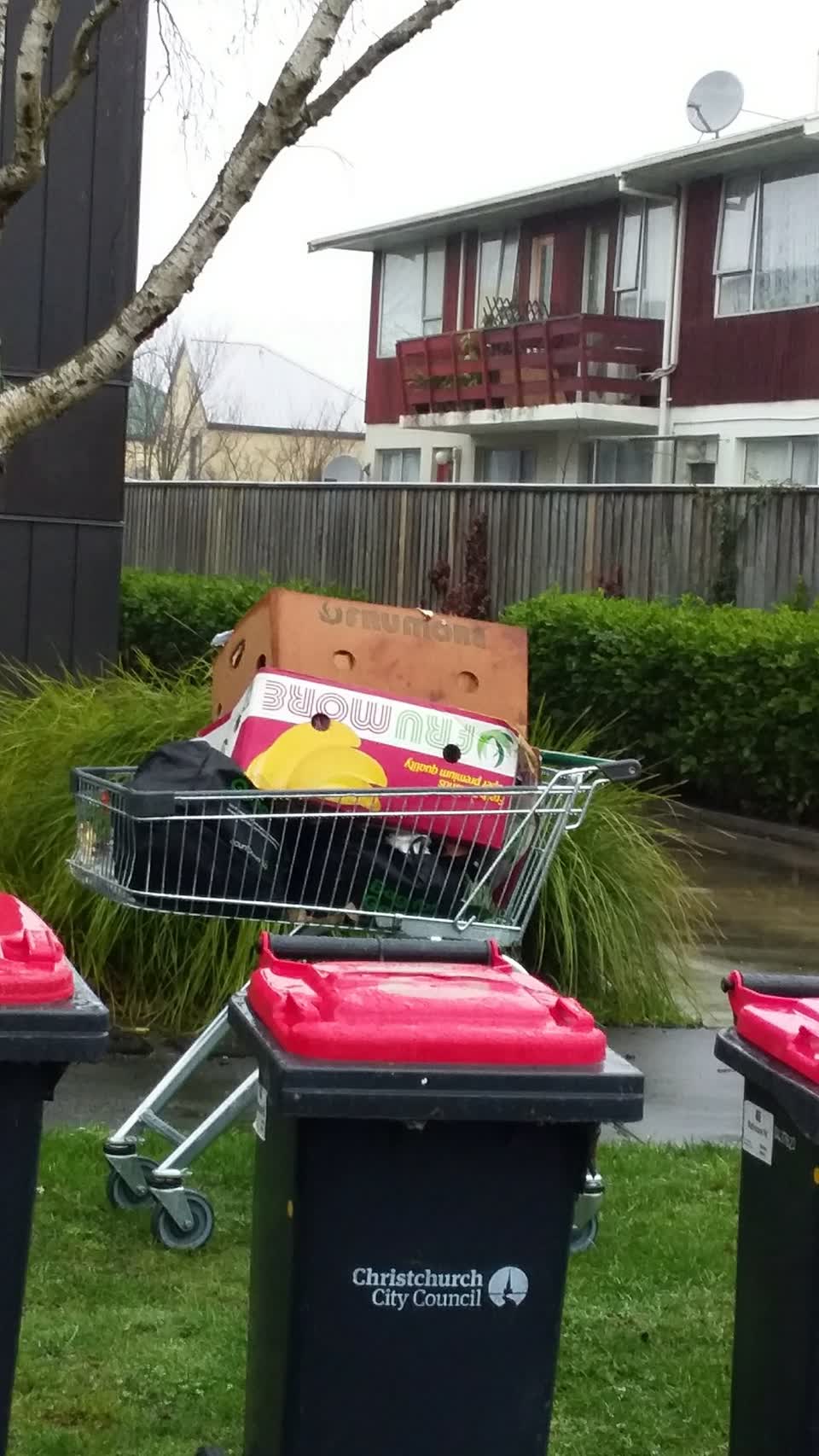 The photograph attached to this rubbish/recycling report