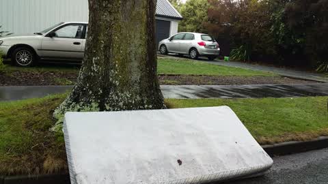 Rubbish/Recycling, a report photo