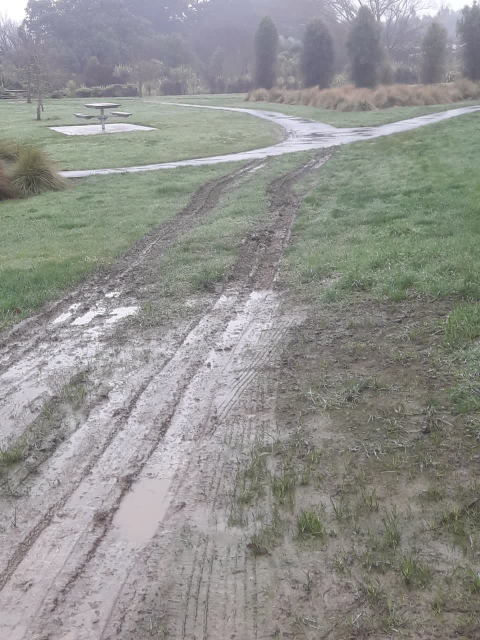 The photograph attached to this parks report