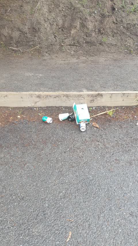 Rubbish/Recycling, a report photo