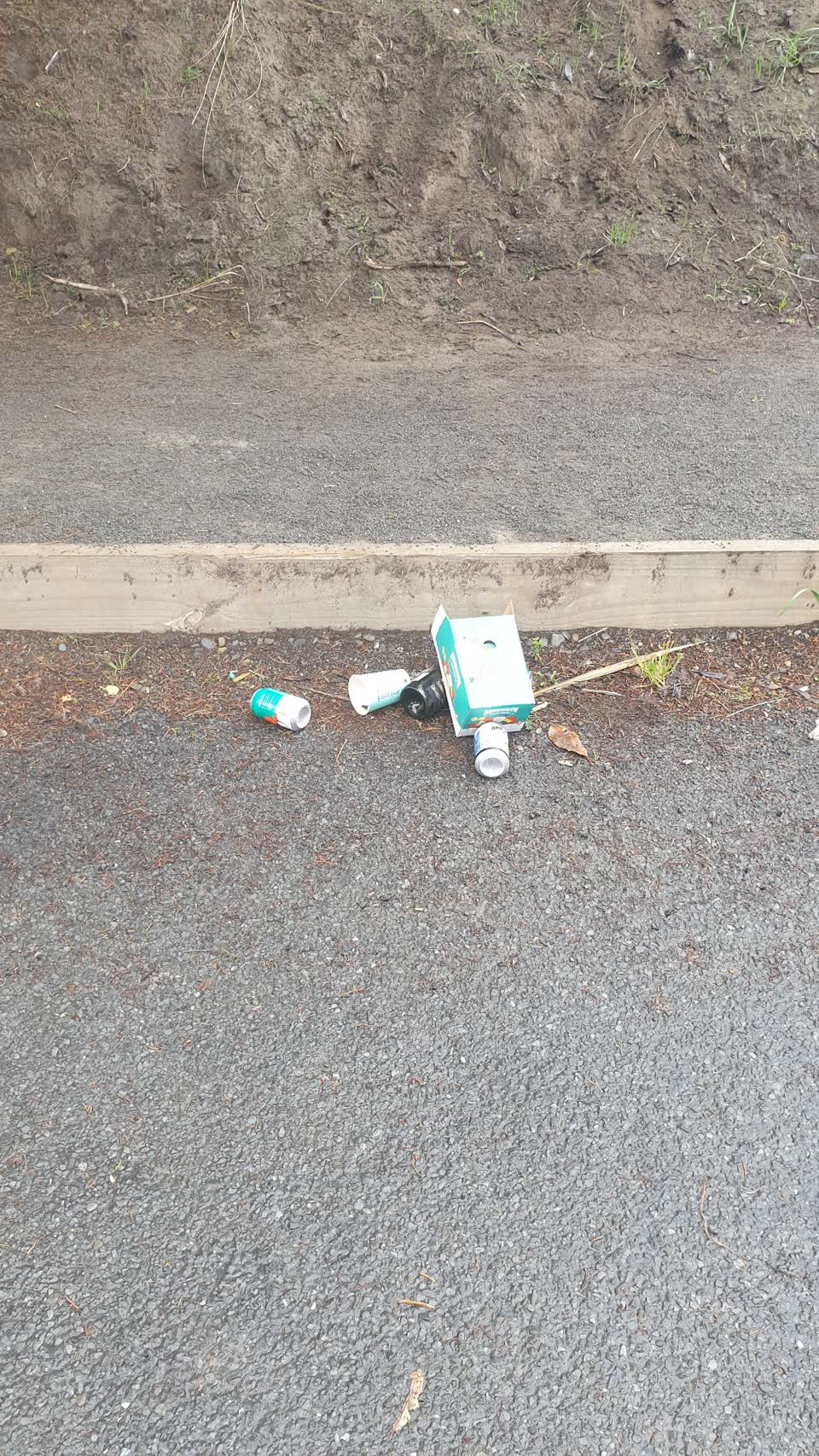 The photograph attached to this rubbish/recycling report