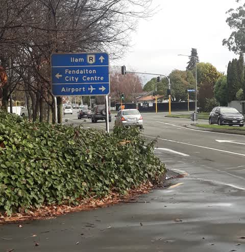 Roading/Streets, a report photo