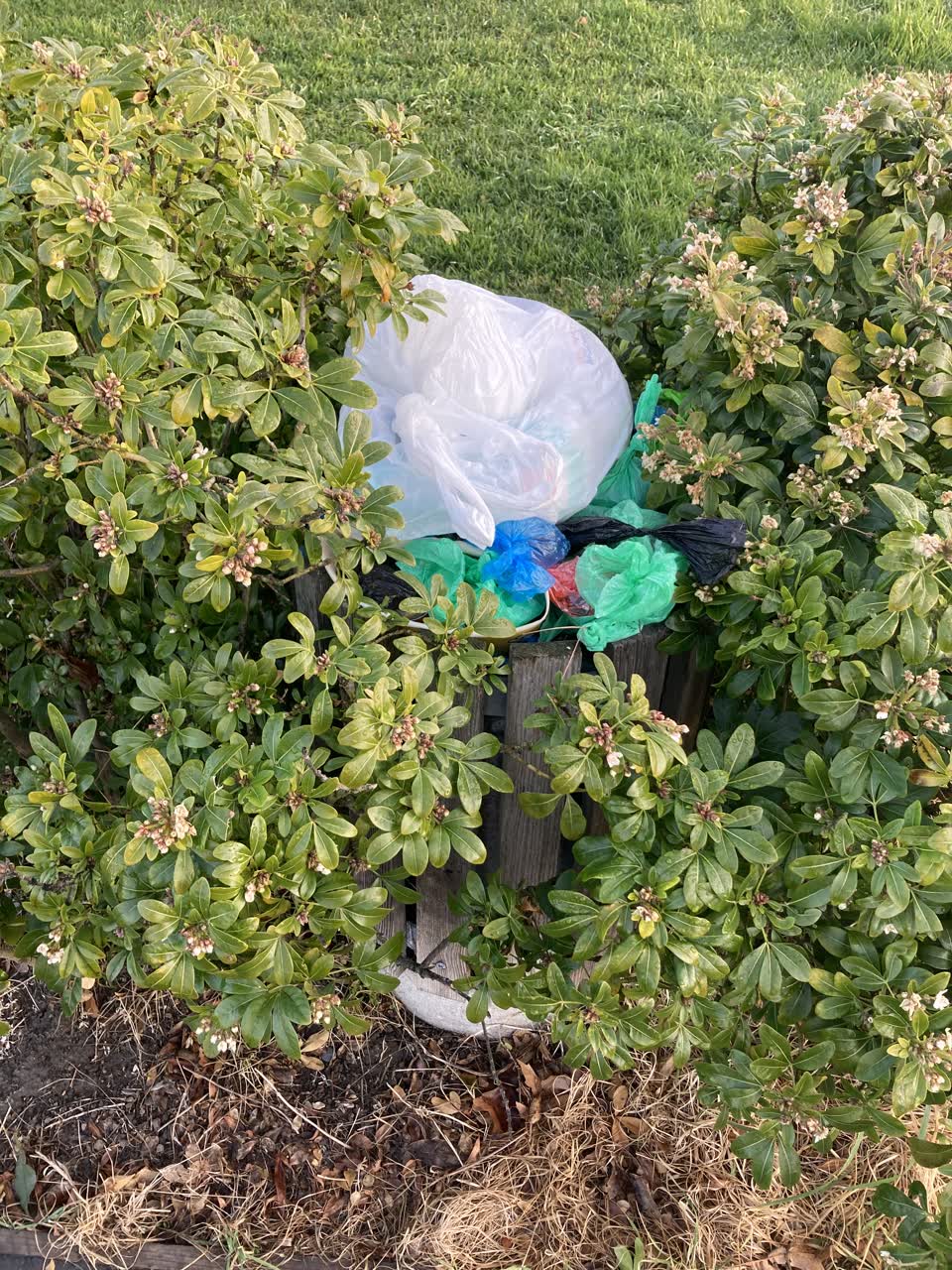 The photograph attached to this rubbish/recycling report