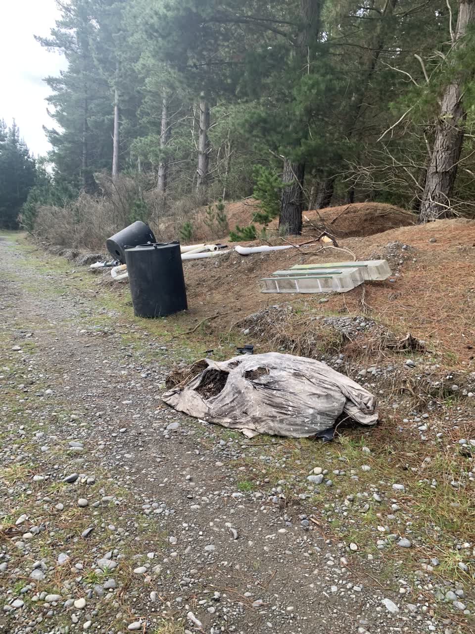 The photograph attached to this parks report