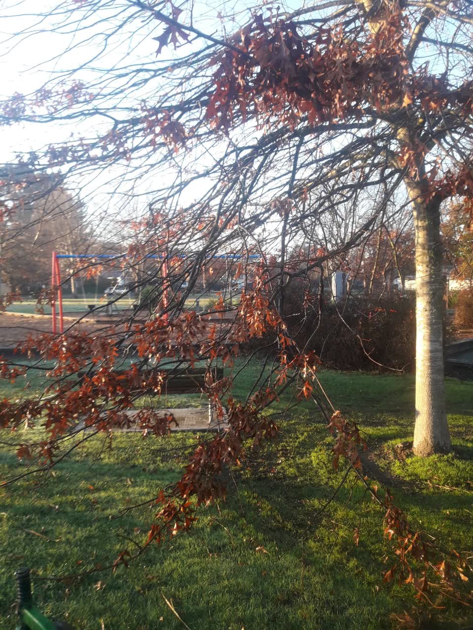 The photograph attached to this parks report