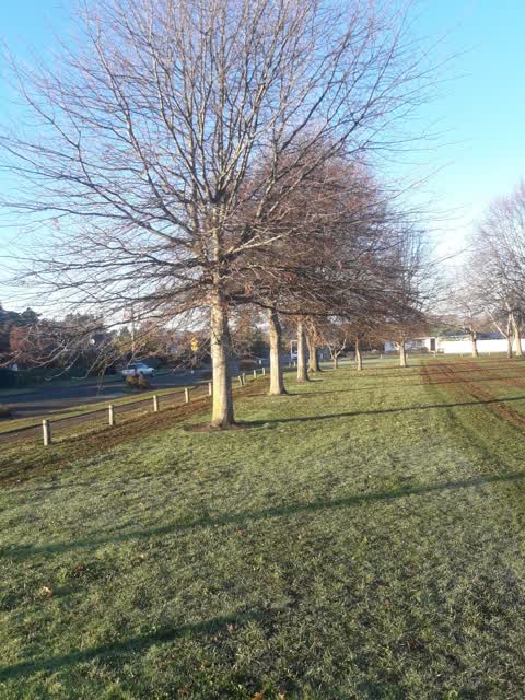 Parks, a report photo