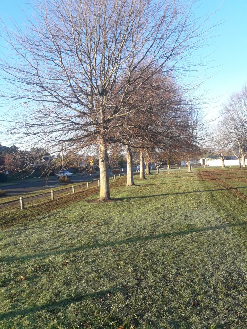 The photograph attached to this parks report