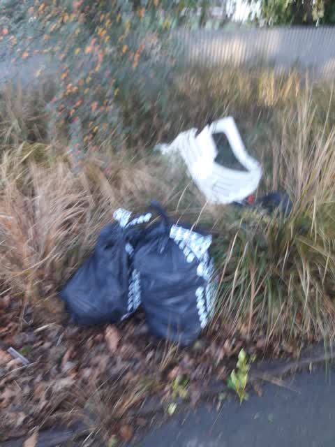 Rubbish/Recycling, a report photo