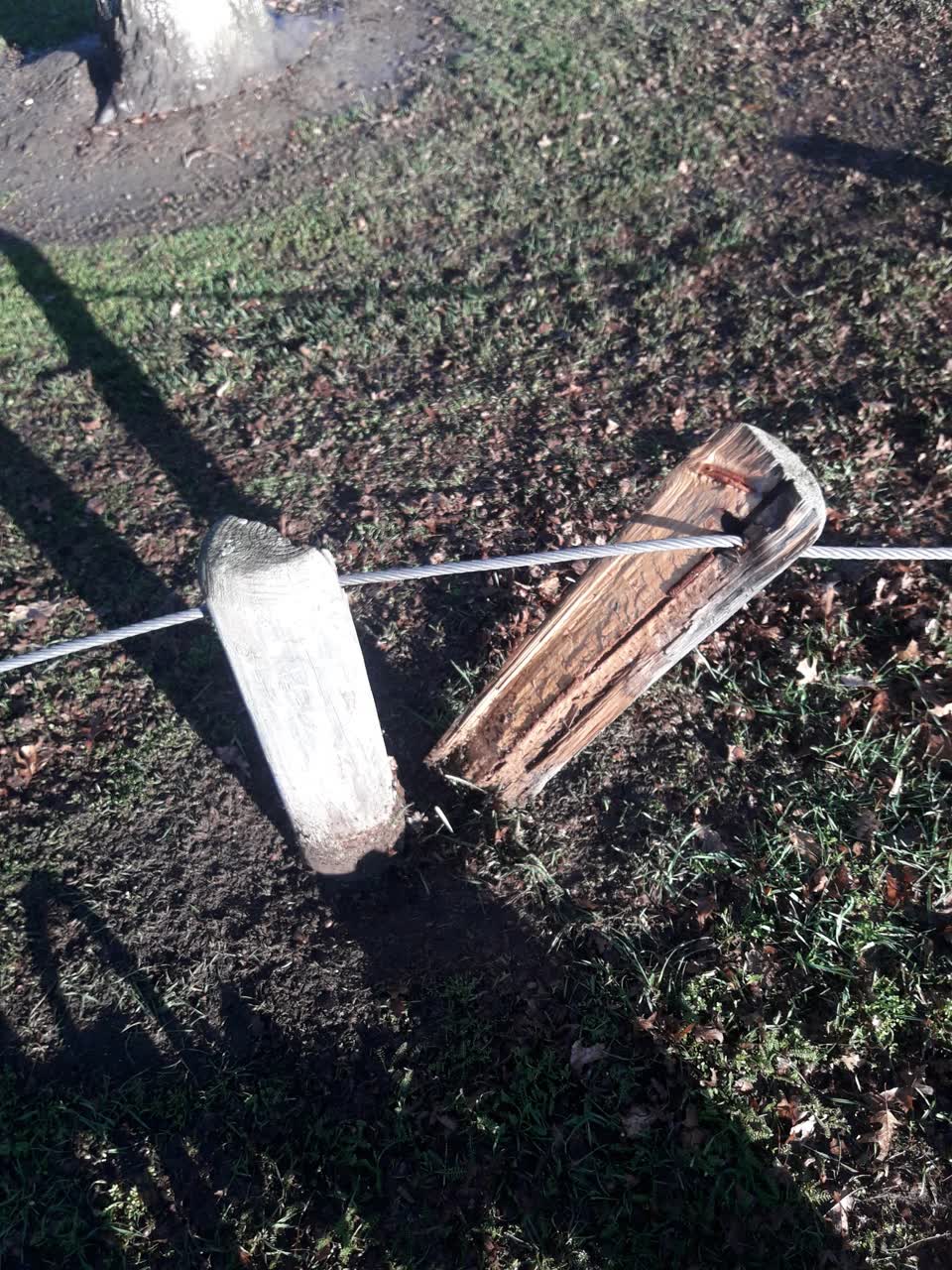 The photograph attached to this parks report