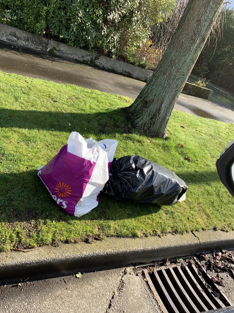 The photograph attached to this rubbish/recycling report