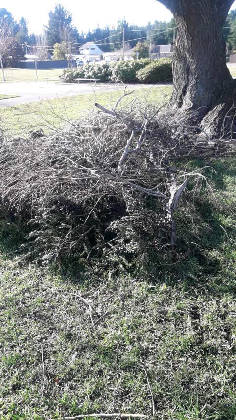 Parks, a report photo