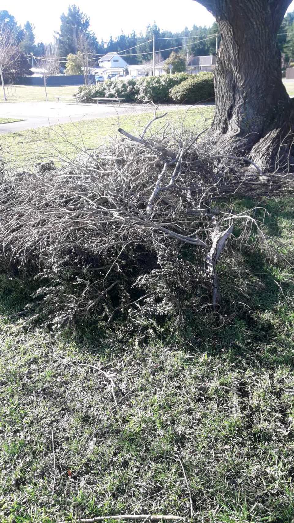 The photograph attached to this parks report