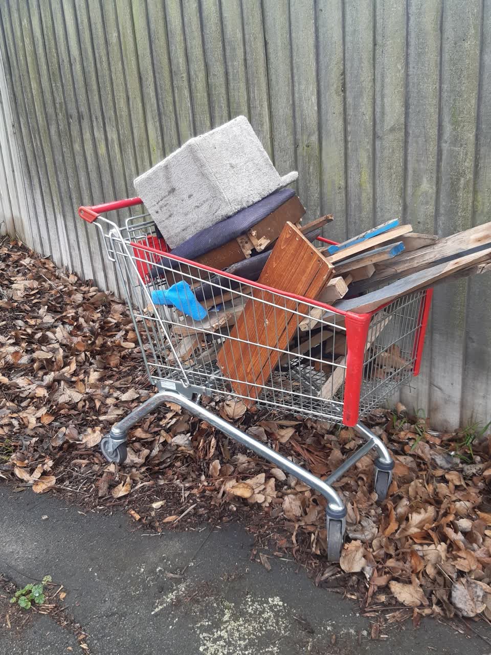 The photograph attached to this parks report