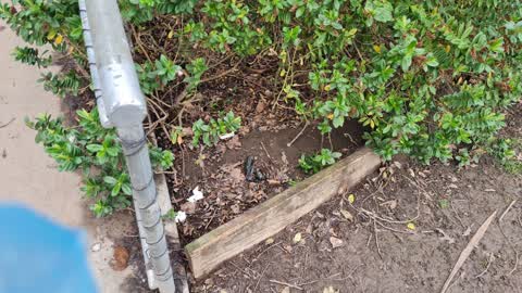 Parks, a report photo