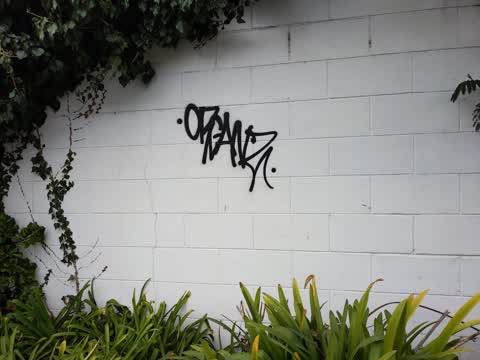 Graffiti, a report photo