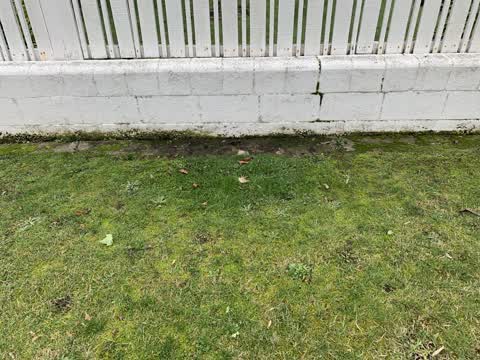 Roading/Streets, a report photo