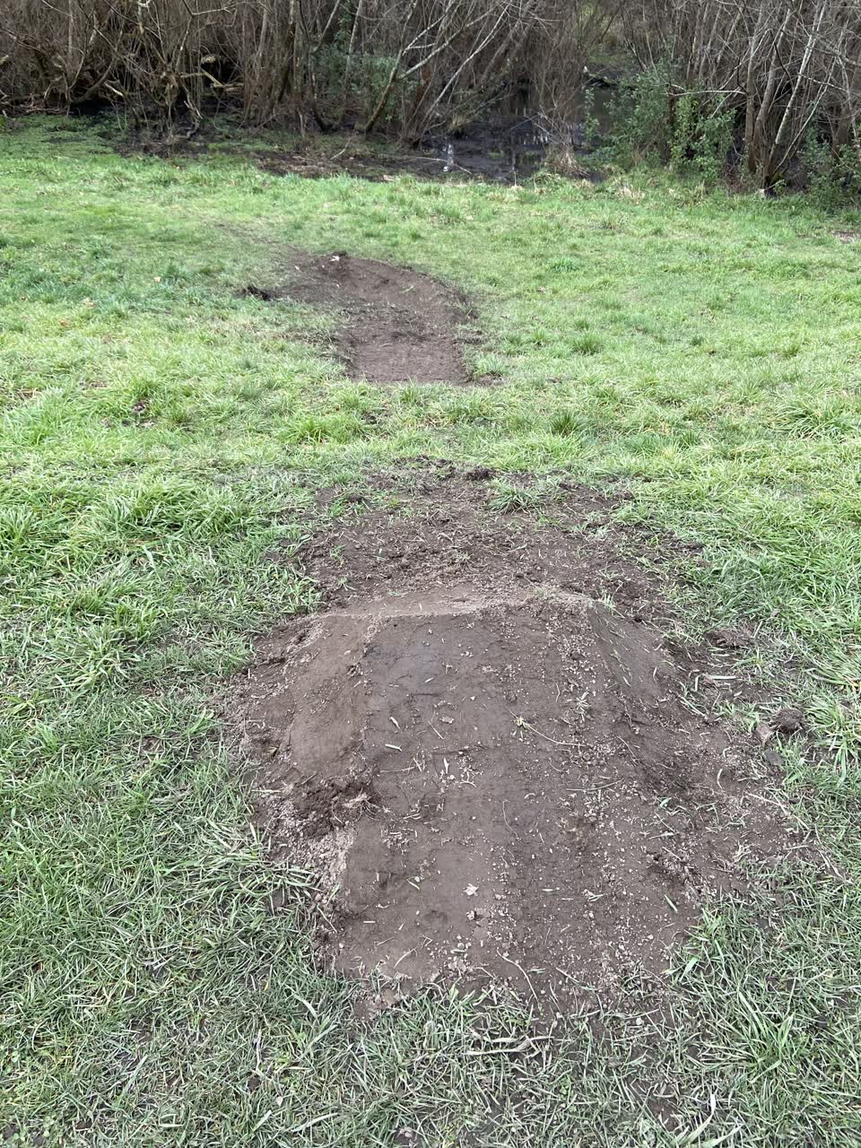 The photograph attached to this parks report