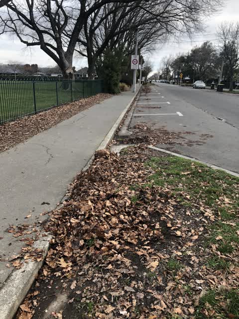 Roading/Streets, a report photo