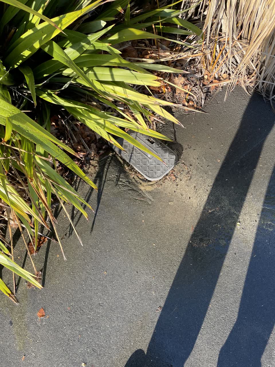 The photograph attached to this water leak report