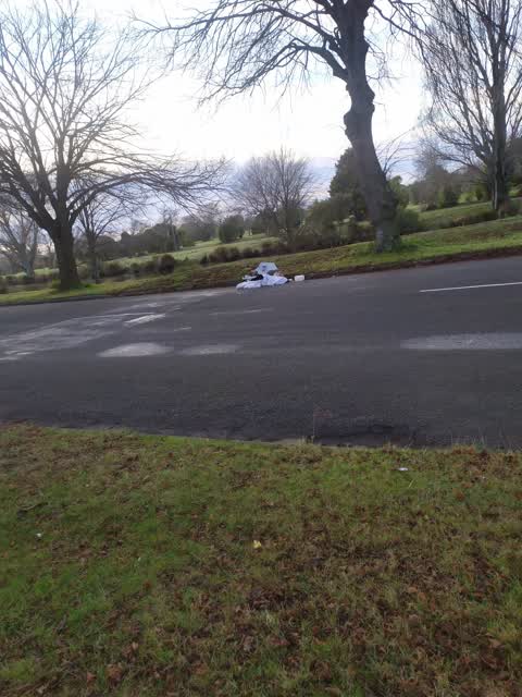 Rubbish/Recycling — a report photo