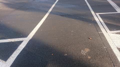 Roading/Streets, a report photo