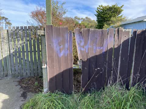 Graffiti, a report photo