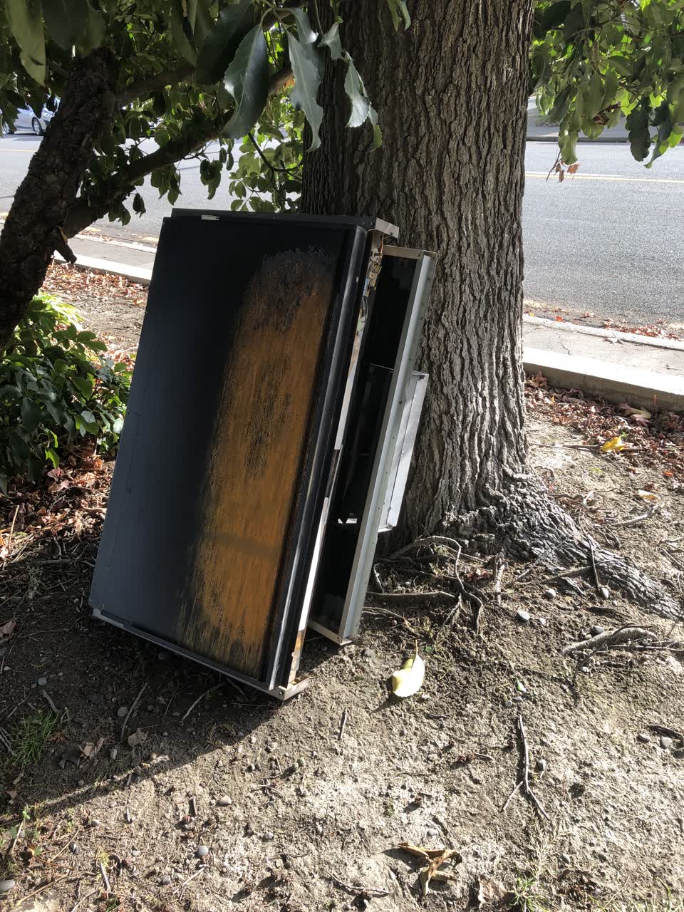 The photograph attached to this parks report