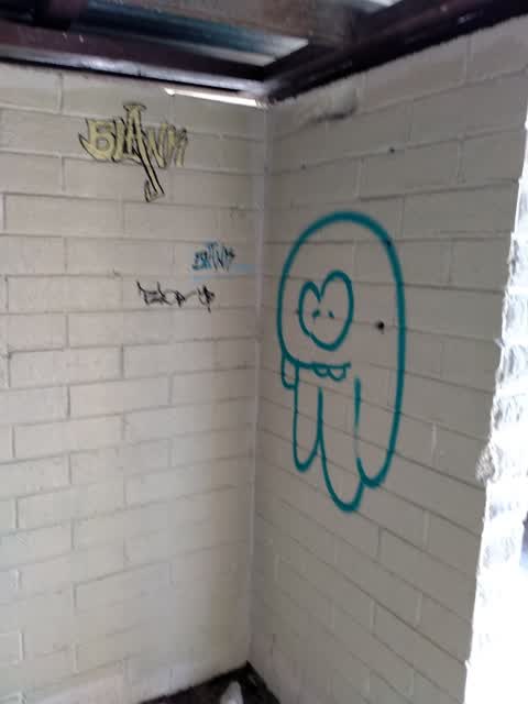Graffiti — a report photo