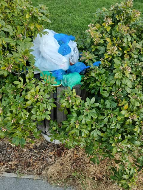 Rubbish/Recycling — a report photo