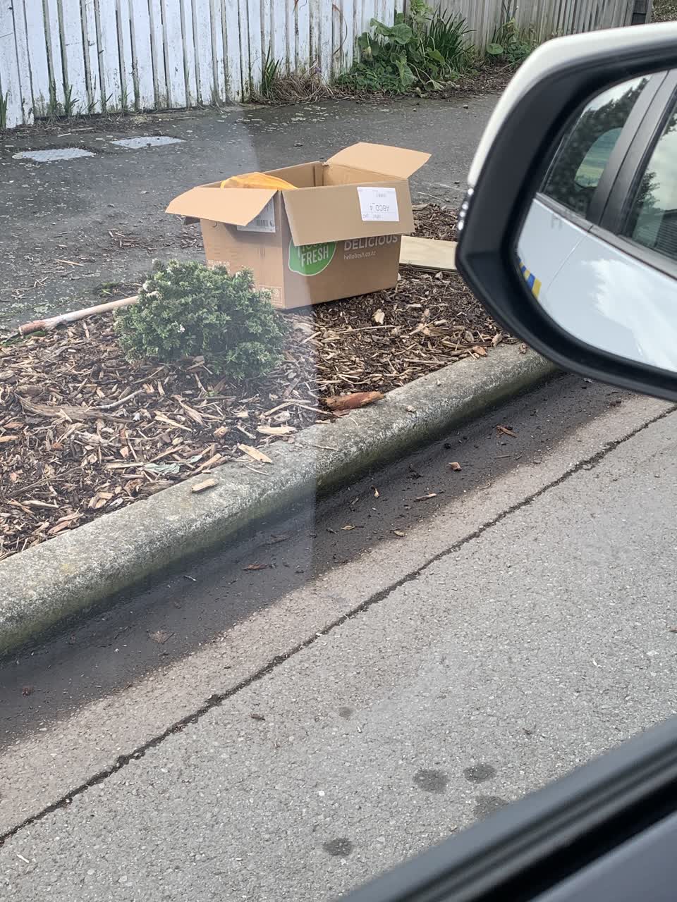 The photograph attached to this rubbish/recycling report