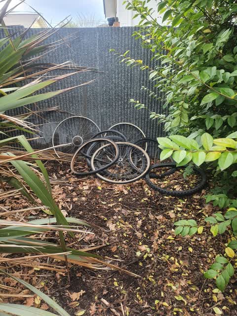 Parks, a report photo