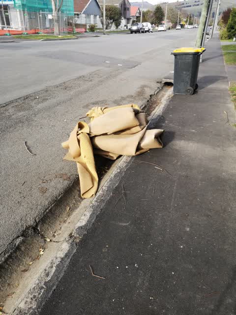 Rubbish/Recycling, a report photo