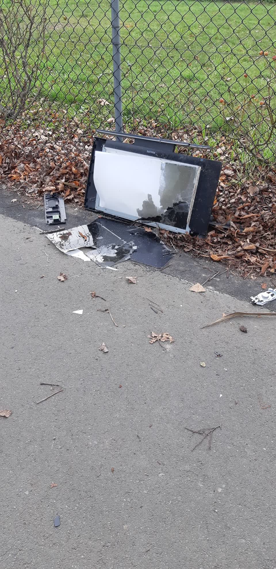 The photograph attached to this rubbish/recycling report